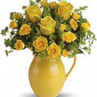 Sunny Day of Pitcher Roses